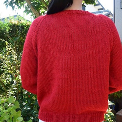 お試し応援セールアルパカの赤セーター 3枚目の画像