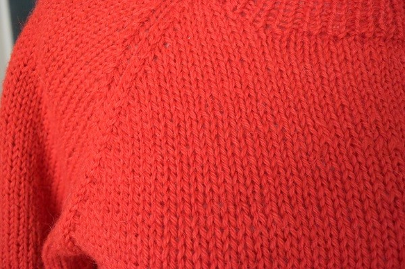 お試し応援セールアルパカの赤セーター 5枚目の画像