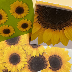 グリーティングカード　向日葵シリーズ　4種類 1枚目の画像