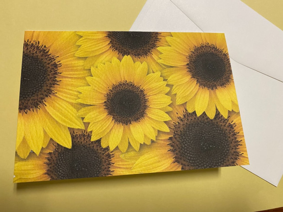 グリーティングカード　向日葵シリーズ　4種類 2枚目の画像