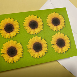 グリーティングカード　向日葵シリーズ　4種類 4枚目の画像