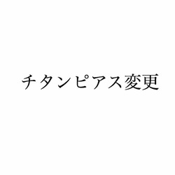 【アレルギー対応】チタンピアス変更 1枚目の画像