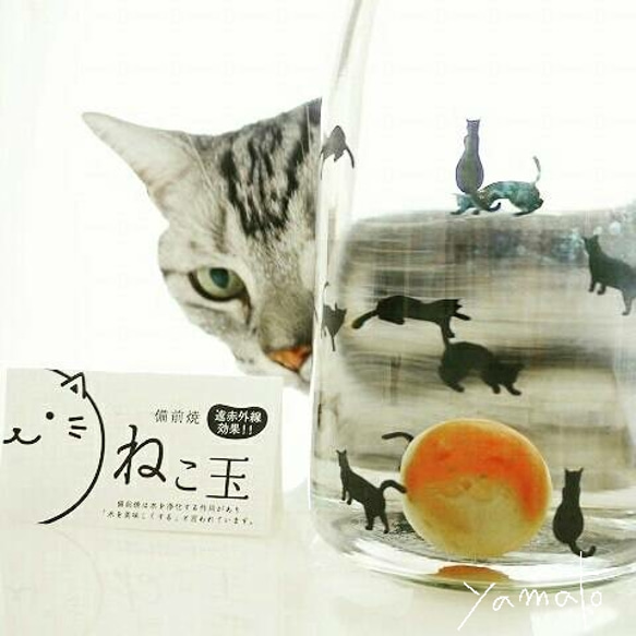 備前焼*ねこ玉 4枚目の画像