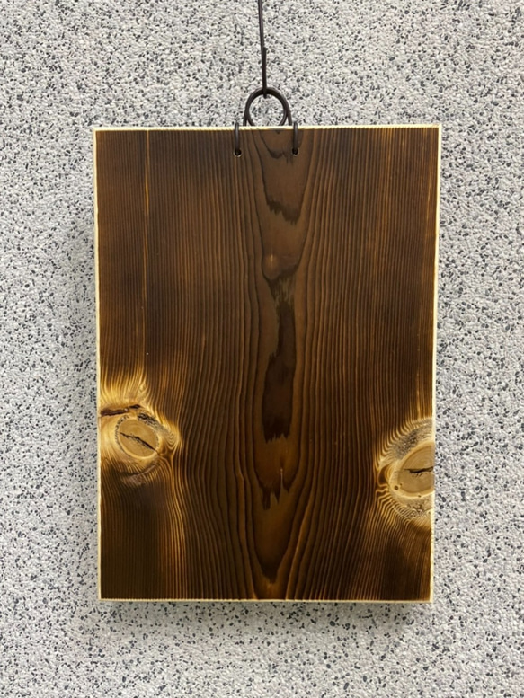 鹿藝仕 碳化原木板已開透氣孔 碳化板 鹿角蕨 成株可用 木植板 第3張的照片