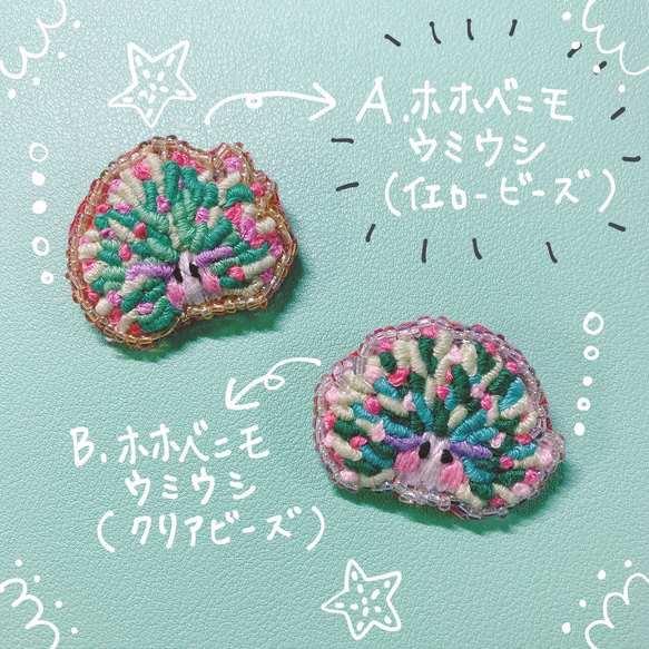 刺繍 ブローチ 海のいきものシリーズ 【ウミウシ】Aホホベニモウミウシ
