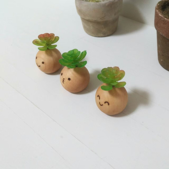 多肉植物3つセット☆まあるいお顔のフェイクグリーン～ナチュラル～ 4枚目の画像