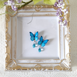 【チェコビーズと羽ばたく蝶々♪】モルフォ蝶(新色)。蝶々ピアス、蝶々イヤリング、青い蝶、『晴れやかブルー2024』 3枚目の画像