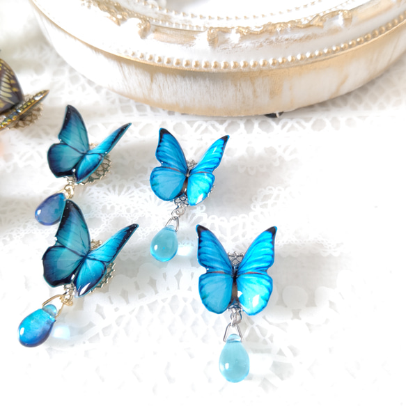 【チェコビーズと羽ばたく蝶々♪】モルフォ蝶(新色)。蝶々ピアス、蝶々イヤリング、青い蝶、『晴れやかブルー2024』 5枚目の画像