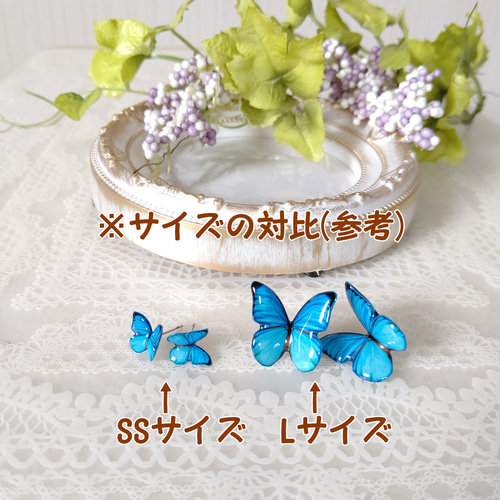 Lサイズ♪】選べる蝶々。アゲハ蝶、オオルリアゲハ、モルフォ蝶 