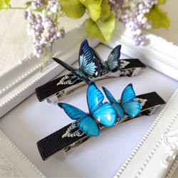 8.5cm 蝶々バレッタ♪】モルフォ蝶(新色)、オオルリアゲハ、青い 8.5cm 蝶々バレッタ♪】モルフォ蝶(新色)、オオルリアゲハ、青い