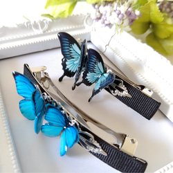 【8.5cm 蝶々バレッタ♪】モルフォ蝶(新色)、オオルリアゲハ、青い蝶。蝶々ヘアアクセサリー。 2枚目の画像