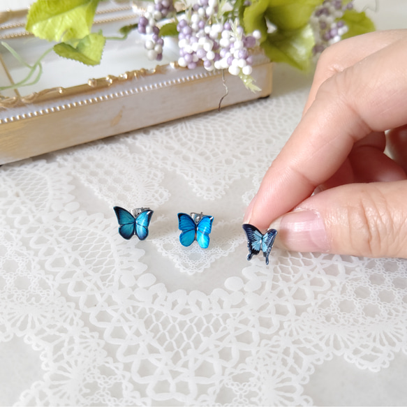 ミニ3種類セット✩.*˚ モルフォ蝶、モルフォ蝶(新色)、オオルリアゲハ