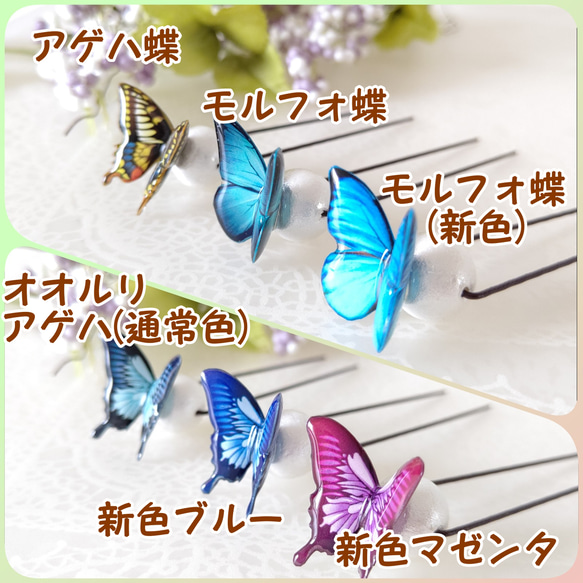 【Uピン♪】髪に花咲く 蝶々Uピン。アゲハ蝶、モルフォ蝶、オオルリアゲハ、青い蝶、赤い蝶。 4枚目の画像