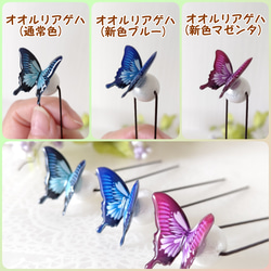【Uピン♪】髪に花咲く 蝶々Uピン。アゲハ蝶、モルフォ蝶、オオルリアゲハ、青い蝶、赤い蝶。 5枚目の画像