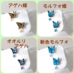 選べるタイプ♪クリップ式、マグネット式、蝶々マスクチャーム。アゲハ蝶、モルフォ蝶、オオルリアゲハ、青い蝶。 2枚目の画像