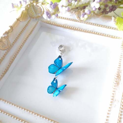 蝶々チャーム ♪マスクチャーム。モルフォ蝶、新色モルフォ。青い蝶