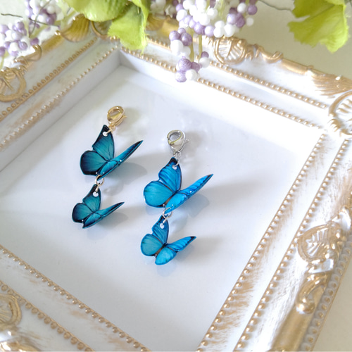 蝶々チャーム ♪マスクチャーム。モルフォ蝶、新色モルフォ。青い蝶