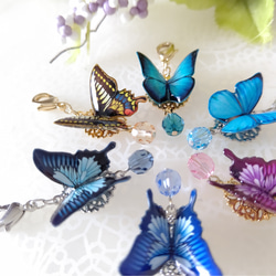 蝶々チャーム ♪マスクチャーム。アゲハ蝶、オオルリアゲハ、モルフォ蝶、青い蝶。『晴れやかブルー2024』 1枚目の画像