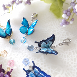 蝶々チャーム ♪マスクチャーム。アゲハ蝶、オオルリアゲハ、モルフォ蝶、青い蝶。『晴れやかブルー2024』 2枚目の画像