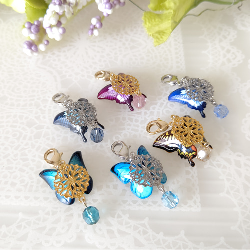 蝶々チャーム ♪マスクチャーム。アゲハ蝶、オオルリアゲハ、モルフォ