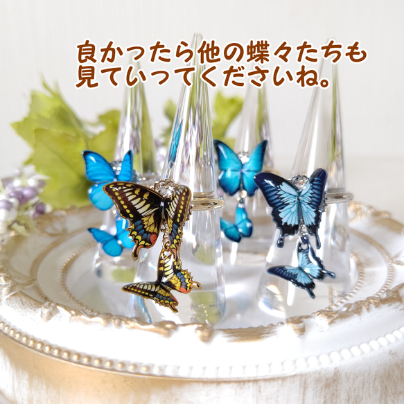 【羽ばたく蝶々♪】小さな蝶々が揺れる蝶々リング。新色モルフォ。青い蝶☆*°フリーサイズ。『晴れやかブルー2024』 6枚目の画像