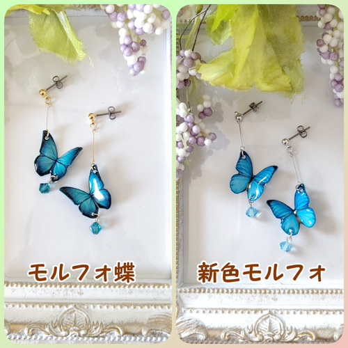 black-butterfly-1.jpg