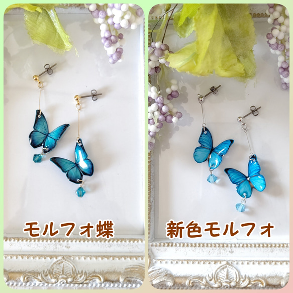 スワロフスキーが揺れる羽ばたく蝶々✩.*˚ 青い蝶。モルフォ蝶、新色モルフォ。『晴れやかブルー2024』 2枚目の画像