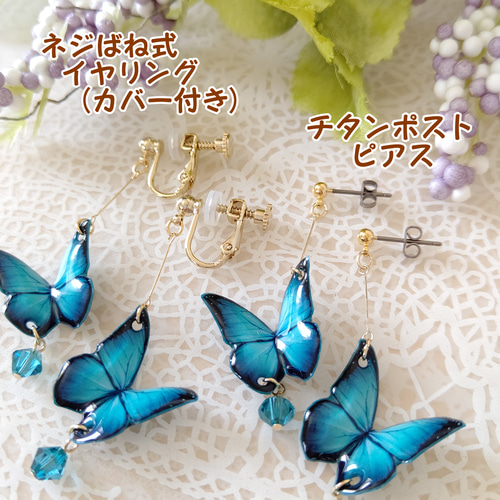 ねこ【新品】スワロフスキー　ピアス　蝶々 スワロフスキーが揺れる羽ばたく蝶々✩.*˚ 青い蝶。モルフォ蝶
