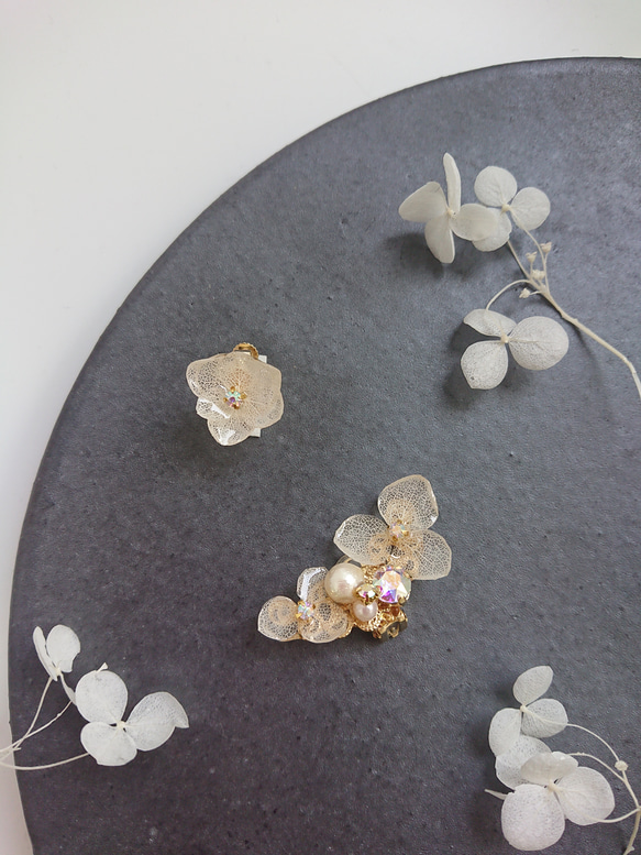 繡球花Hirari冰雪色[耳袖和耳環] 第6張的照片