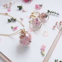 繡球花簡單的櫻花和搖曳的棉珍珠[耳環] 第6張的照片