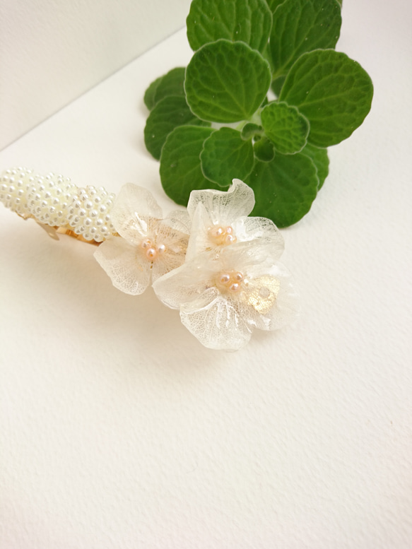 花月繡球Hilali Watayuki顏色和淡水珍珠[瓦萊塔] MSIZE 第2張的照片