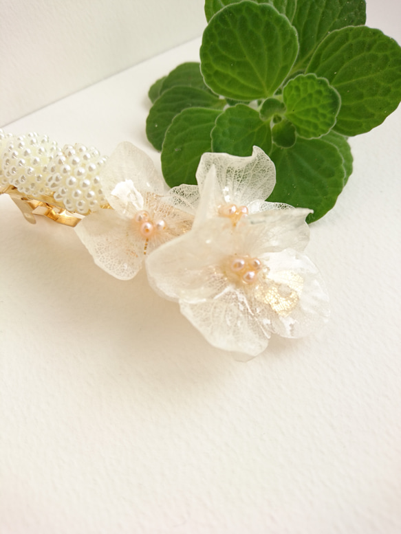 花月繡球Hilali Watayuki顏色和淡水珍珠[瓦萊塔] MSIZE 第3張的照片