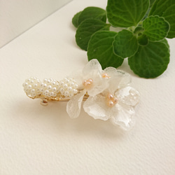 花月繡球Hilali Watayuki顏色和淡水珍珠[瓦萊塔] MSIZE 第4張的照片