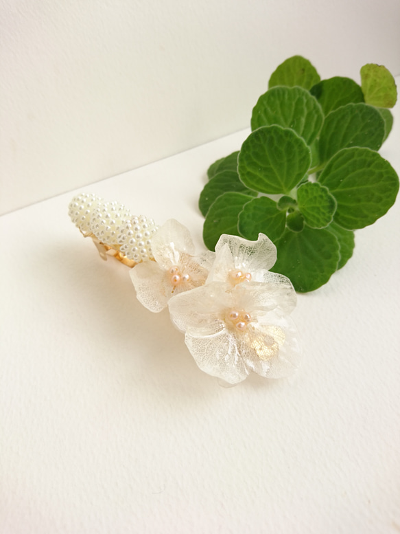 花月繡球Hilali Watayuki顏色和淡水珍珠[瓦萊塔] MSIZE 第5張的照片