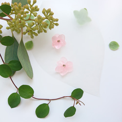 繡球花簡單顏色櫻花樹[14kgf耳環] 第4張的照片