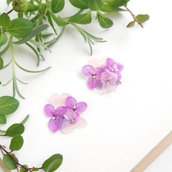 咲き誇る紫陽花  パステルpurple gradation 【チタンピアス・パーツ変更可】 2枚目の画像