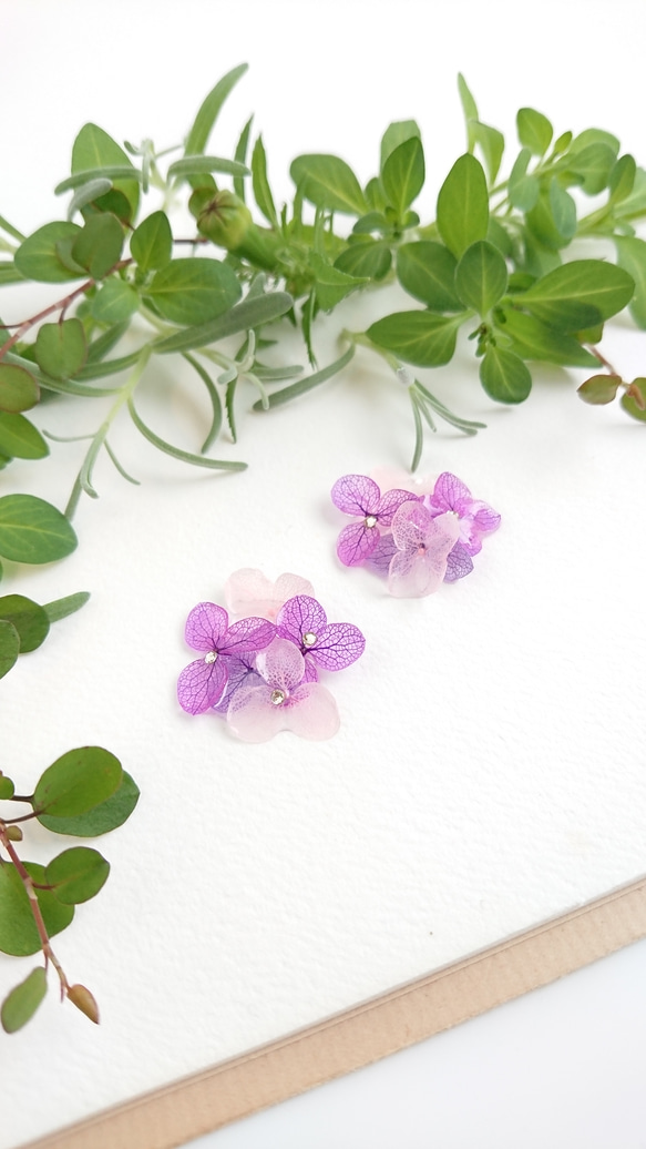 盛開的繡球花柔和的紫色漸變（可更換鈦耳環和零件） 第4張的照片