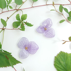 繡球花或玫瑰紫色[耳環和零件多變] 第2張的照片