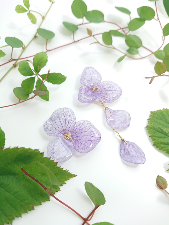 繡球花或玫瑰紫色[耳環和零件多變] 第4張的照片