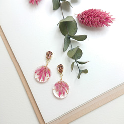 金絲雀種子·一個穿孔耳環【可換鈦金耳環/耳環】玫瑰 第2張的照片