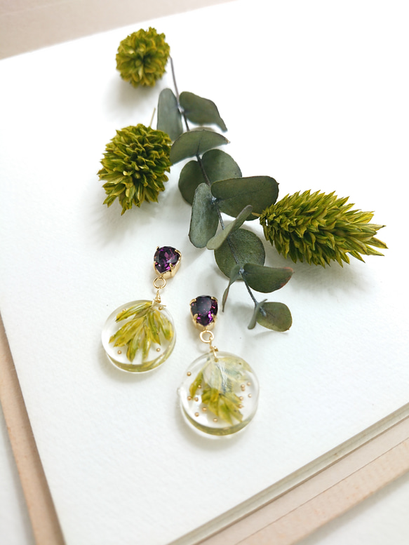 金絲雀籽，單粒耳環[可更換為鈦耳環和耳環]紫水晶 第3張的照片