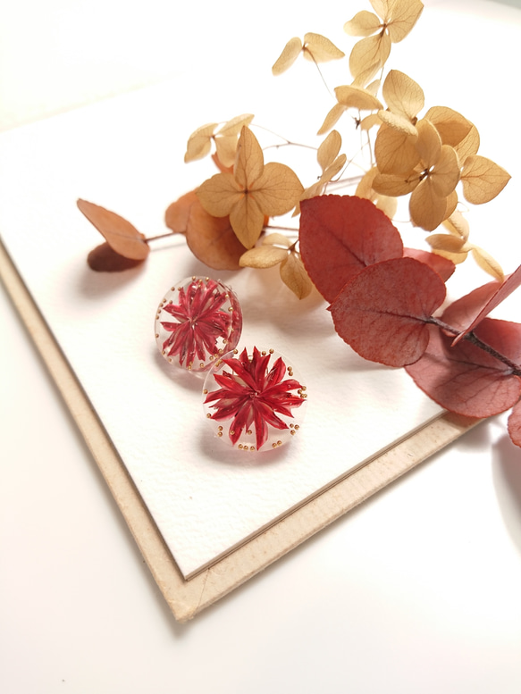 金絲雀種子和捷克珠子【鈦耳環·零件多變】波爾多2路 第4張的照片
