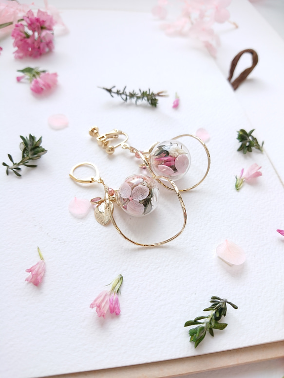 花園繡球花＆霞草 * Reika Sakura Peach [掉落，耳環，零件可以更換] 第2張的照片