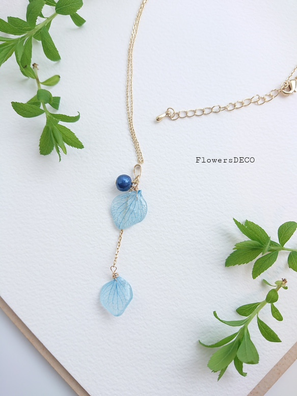 繡球花Hiiraira靛藍[項鍊]植物 第1張的照片