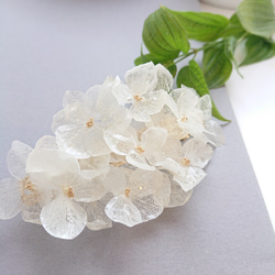 new!!感謝の花 ミモザアカシアのシンプルフレッシュリース【生花