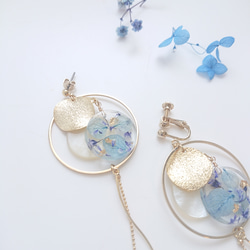 《日本》繡球滿天星淺藍色【耳環及零件可換】包郵 第3張的照片