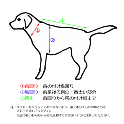  第5張的照片