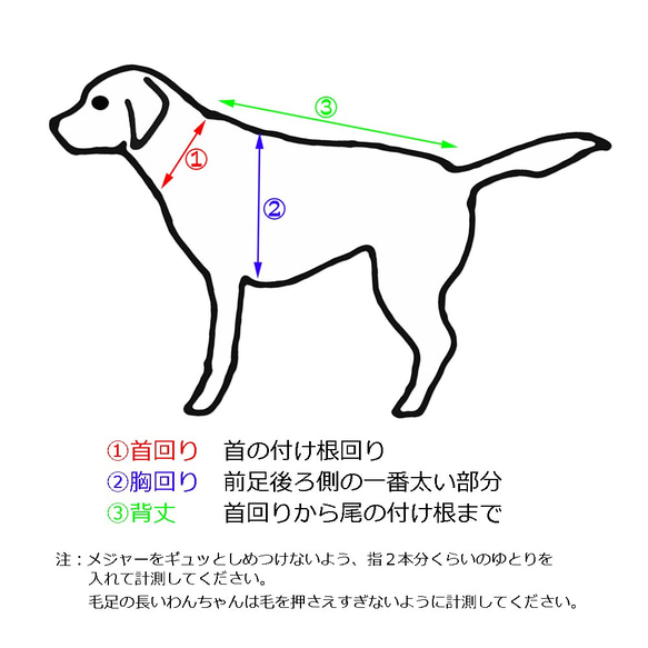 爽やかボーダー【小型犬用】 5枚目の画像