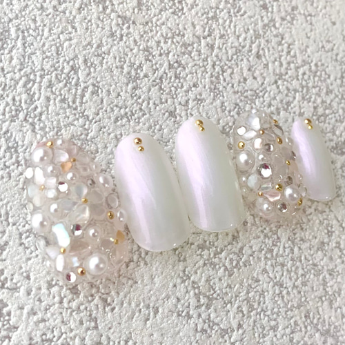 再販】ネイルチップ/埋め尽くし/クリアベース/キラキラ/シェル/花  