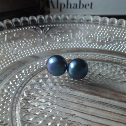 Blue Black Studs Earrings 1枚目の画像